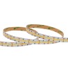 STRIP LED 100W 24V IP20 6000K
