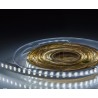 STRIP LED 190W 24V IP20 6000K