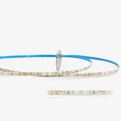 STRIP LED 50W 24V IP20 6000K