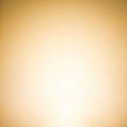 STRIP LED 60W 24V IP20 3000K