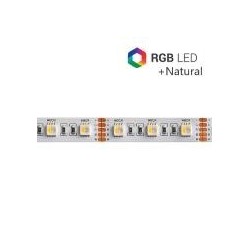 STRIP LED CC30096 4IN1 19.2W/MT IP20 24V RGB+4000K