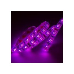 STRIP LED 300SMD5050 RGB IP65 12V