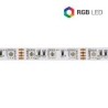 STRIP LED 300SMD5050 RGB IP65 12V