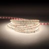STRIP LED HC98075 2835 SLIM6MM 15W/MT 24V IP20 4000K
