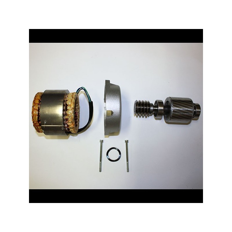 GRUPPO STATORE-TOTORE RO500