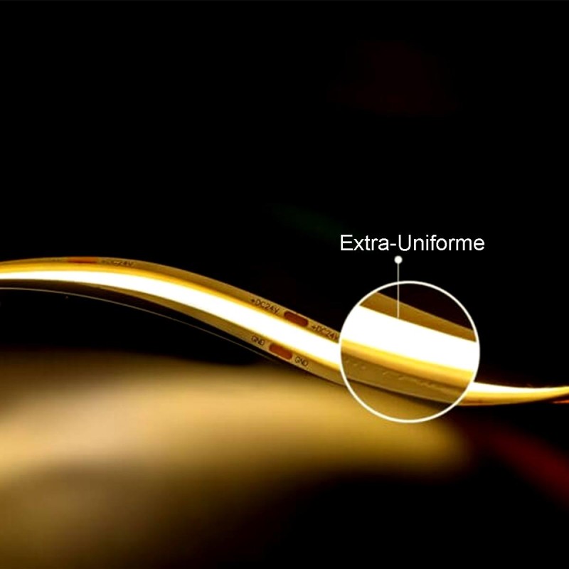 STRIP COB EXTRA-UNIFORME 240050 10W/MT 8MM 24V IP20 6500K