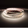 STRIP LED 20MT CL60048 2835 9.6W/MT IP20 24V 4000K