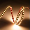 STRIP LED 50MT CL60072 14.4W/MT 24V IP20 3000K