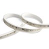 STRIP LED AC 230V 50MT 12W/MT 80LED/MT IP65 3000K