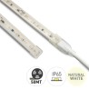 STRIP LED AC 230V 50MT 12W/MT 80LED/MT IP65 4000K