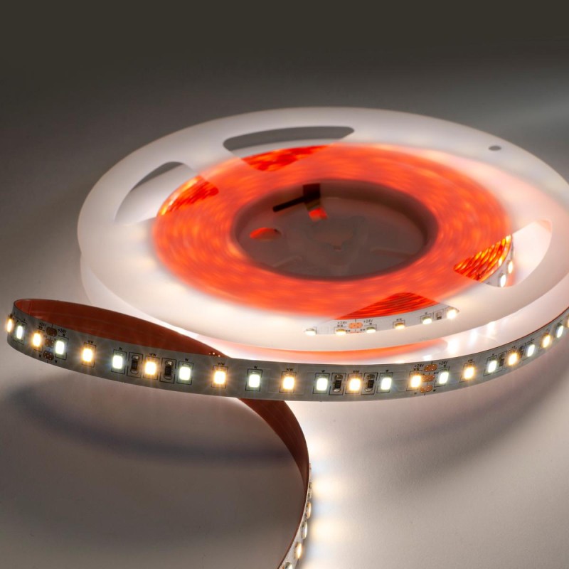 STRIP LED CC60080 16W/MT 24V CCT 2700-6000K IP65-TR