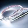 STRIP LED CL1200130 26W/MT 24V IP20 6500K