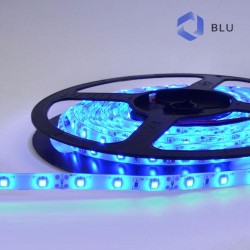 STRIP LED CL30024 4.8W/MT IP65 12V BLU