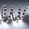 STRIP LED CL30036 7.2W/MT 24V IP20 6500K