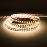 STRIP LED CL60048 2835 9.6W/MT IP20 24V 3000K