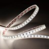 STRIP LED CL60072 14.4W/MT 24V IP67 4000K