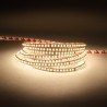 STRIP LED HC98075 2835 SLIM6MM 15W/MT 24V IP20 3000K