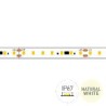 STRIP LED SAUNA & SNOW SP64048 9.6W/MT IP67 24V 4000K