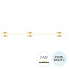 STRIP COB EXTRA-UNIFORME 240050 10W/MT 8MM 24V IP20 6500K