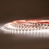 STRIP LED 50W 24V IP20 4000K