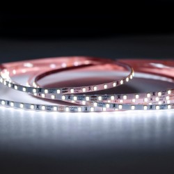 STRIP LED 50W 24V IP20 6000K