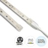 STRIP LED AC 230V 50MT 12W/MT 80LED/MT IP65 6000K