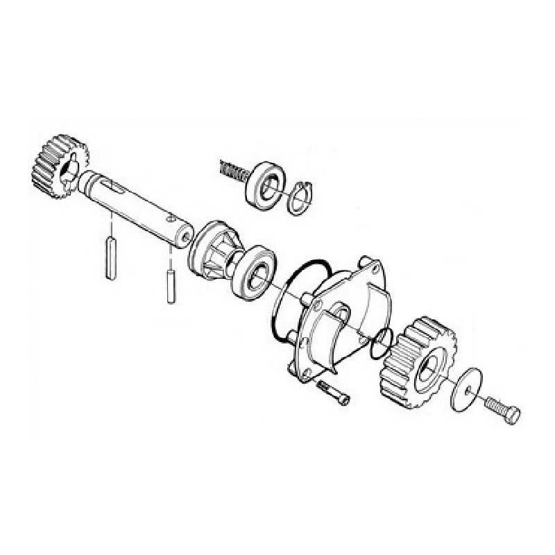 GRUPPO ALBERO USCITA-PIGNONETH1500KCE TH1551 TH1561 TH2251 TH2261