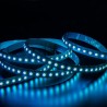 STRIP LED CC600120 4040 RGB 24W/MT IP20 24V
