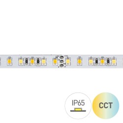STRIP LED CC60080 16W/MT 24V CCT 2700-6000K IP65-TR