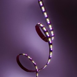 STRIP LED CC900144 28.8W/MT 12MM IP20 24V RGB+CCT