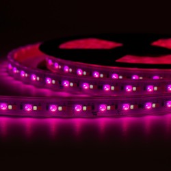 STRIP LED CC900144 28.8W/MT IP67 24V RGB+CCT