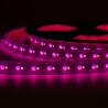STRIP LED CC900144 28.8W/MT IP67 24V RGB+CCT