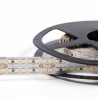 STRIP LED CL1400160 LARGO 20MM 32W/MT IP20 24V 3000K