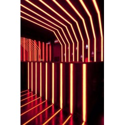 STRIP LED CL30024 4.8W/MT IP65 12V ROSSO