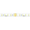 STRIP LED CL60048 2835 9.6W/MT IP65-TR 24V 6000K