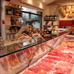 STRIP LED FOOD SP70072 IP20 24V 3100K MACELLERIA