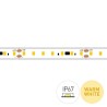 STRIP LED SAUNA & SNOW SP64048 9.6W/MT IP67 24V 2700K