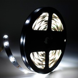 STRIP LED SP14090 WIDE 160D 18W/MT IP20 12V 6800K