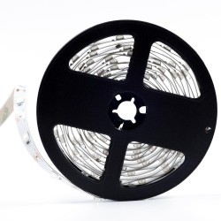 STRIP LED SP14090 WIDE 160D 18W/MT IP20 12V 6800K