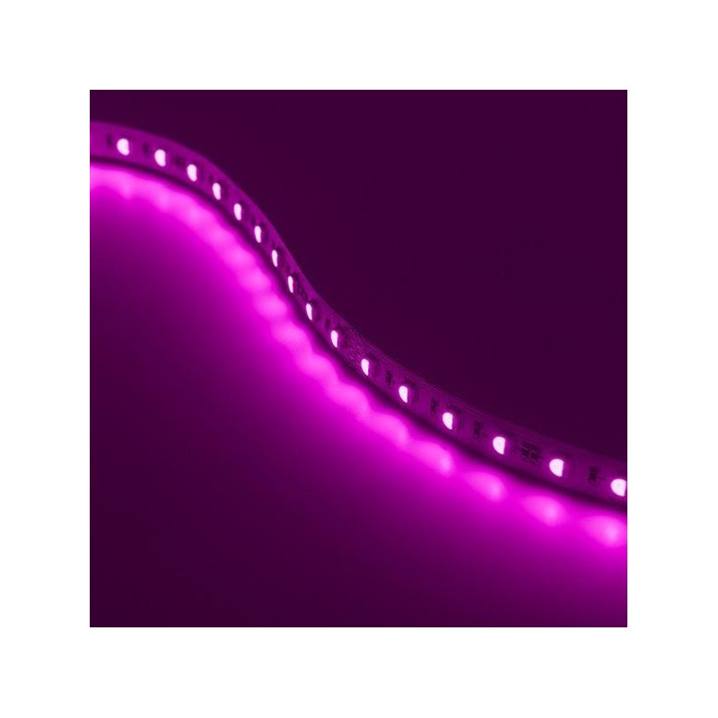 STRIP LED CC30096 RGBW 4IN1 19.2W/MT IP65-TR 24V RGB+6000K