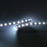 STRIP LED CC30096 RGBW 4IN1 19.2W/MT IP65-TR 24V RGB+6000K