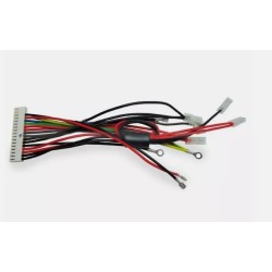 CABLAGGIO CENTRALE RB1000/A