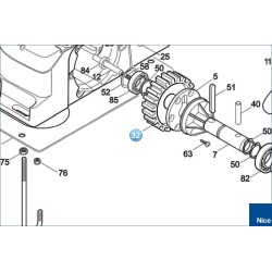 CORONA ELICOIDALE M.3.25