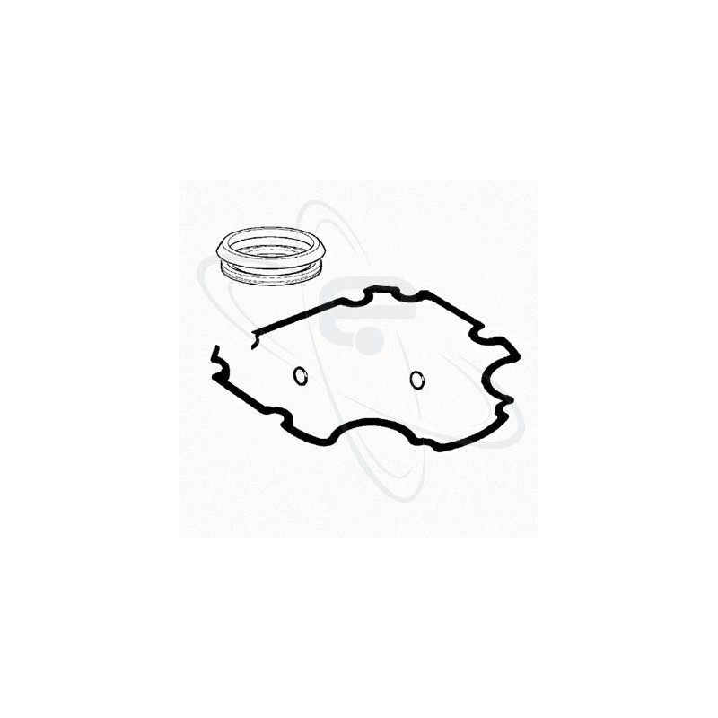 GRUPPO GUARNIZIONI WU1