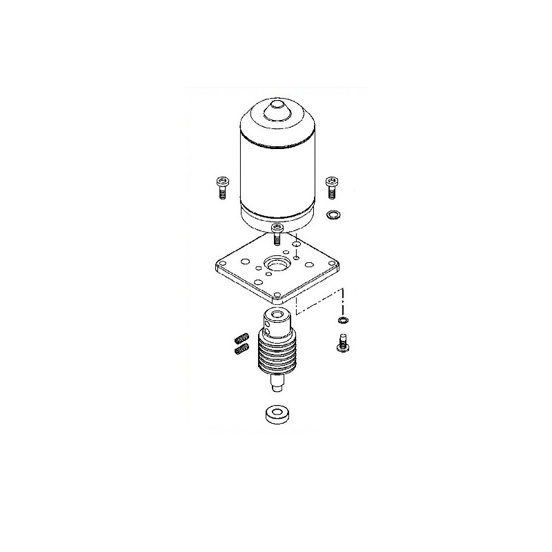 GRUPPO MOTORE ELETTRICO ROBUS RB250HS RB250HSV1